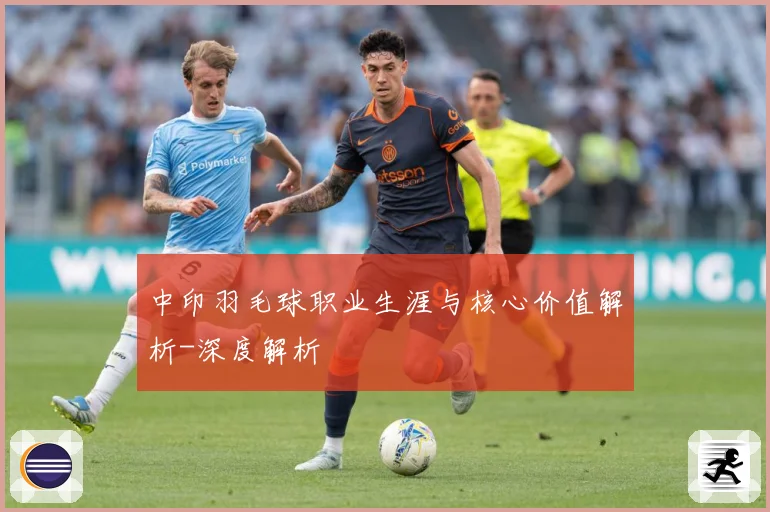 中印羽毛球职业生涯与核心价值解析-深度解析